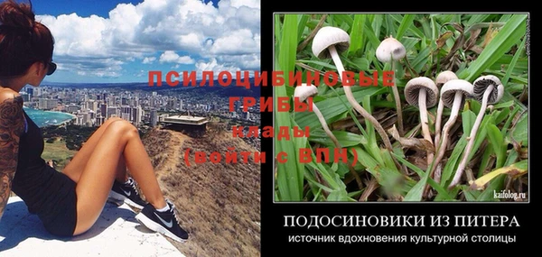 соль курить ск Алексин