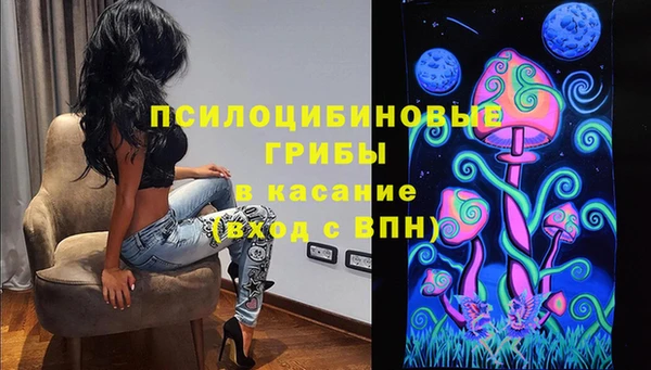 прущие грибы Алзамай