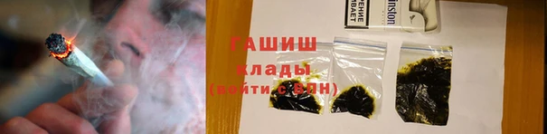 прущие грибы Алзамай