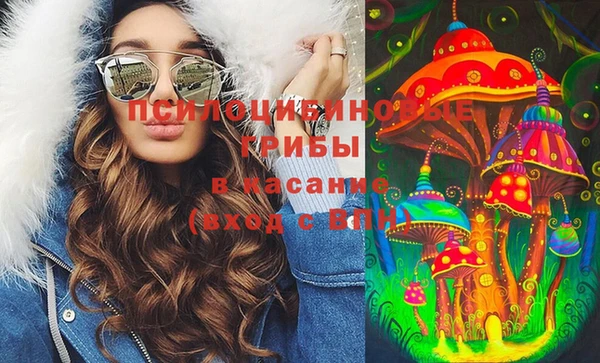 прущие грибы Алзамай