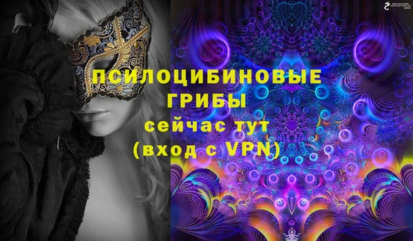 прущие грибы Алзамай