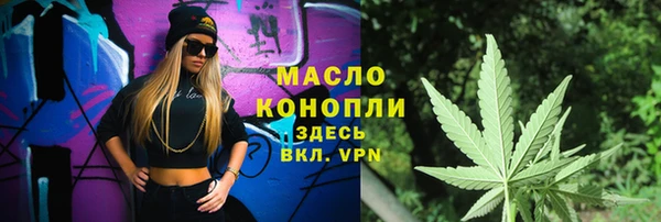 гидра Новодвинск