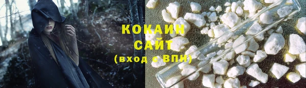 прущие грибы Алзамай